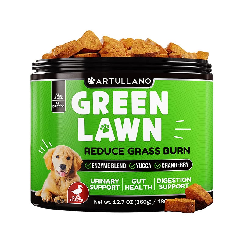 dog treats for green grass