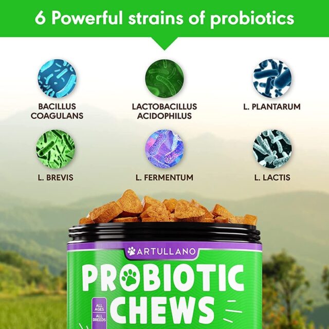 Artullano Probiotic Chews