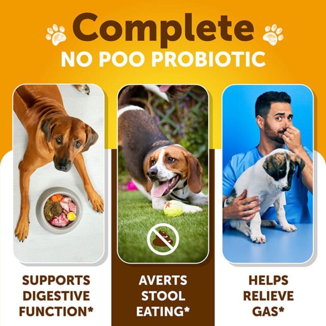 No Poo Probiotic Treats