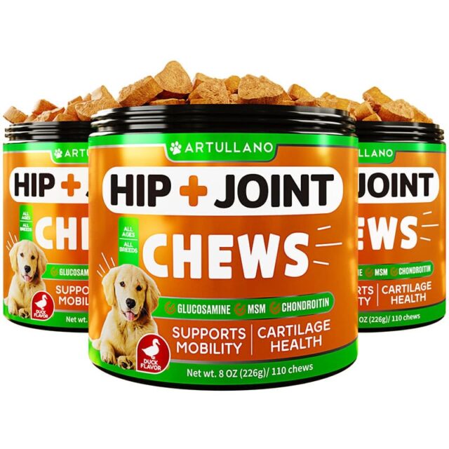 Hip & Joint Chews 3 pack