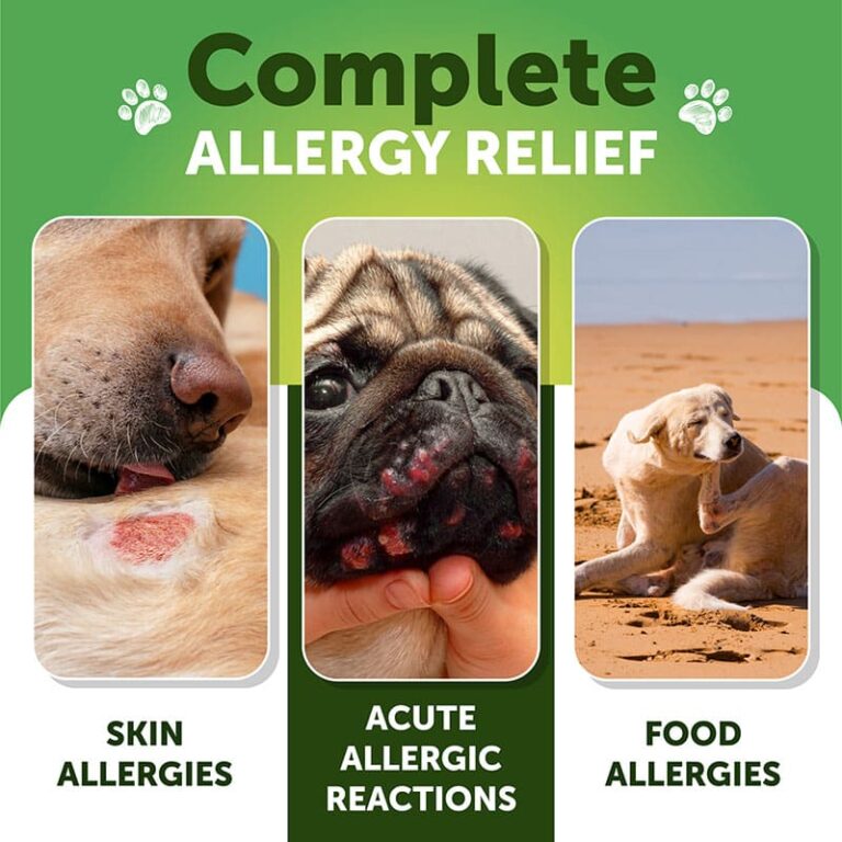 Allergy + Itch Immune Chews Artullano Pet Care