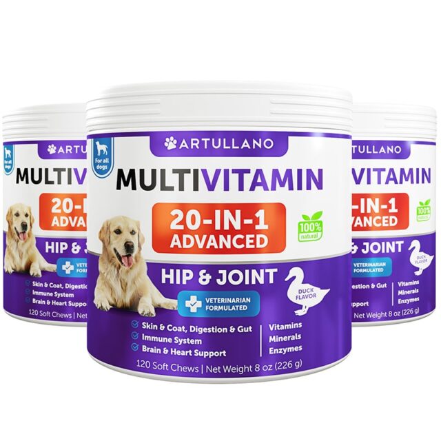 Multivitamin Chews 20 in 1 Chews