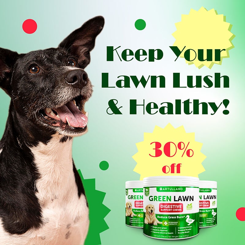 green lawn 30 % off